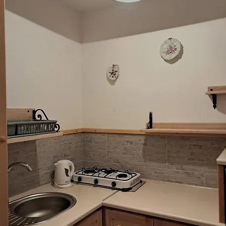 Проживание в семье Z Balkonem *